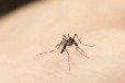 驱蚊产品测试效果评价GBT13917.9药效评定