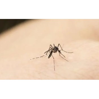 驱蚊检测标准GB/T13917.9驱避剂驱蚊效果检测