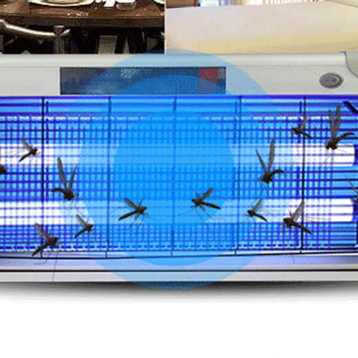 家用及公共空间使用驱蚊灭蚊灯检测项目