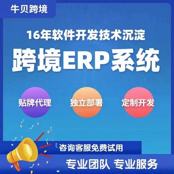 亞馬遜自建鋪貨物流erp工作室公司貼牌定制