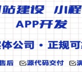 江西能做小程序APP网站建设的软件开发公司