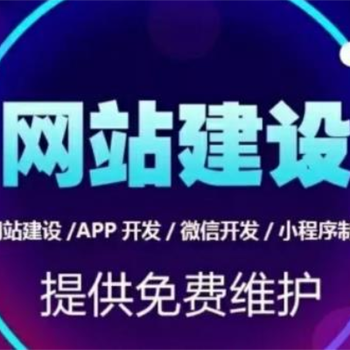 江西2006年成立的做网站商城APP软件开发公司