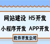 给企业做软件公司,南昌H5网站小程序APP开发