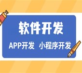 南昌按需开发公司,做小程序APP软件开发