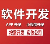 南昌定制化小程序APP软件开发找哪家？