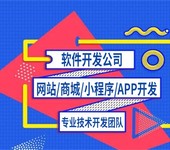 江西全栈开发,南昌网站小程序APP软件开发