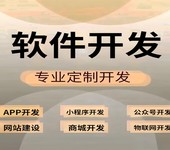 软件制作开发公司,南昌做商城网站小程序APP