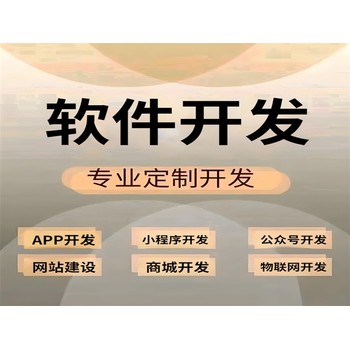 软件制作开发公司,南昌做商城网站小程序APP