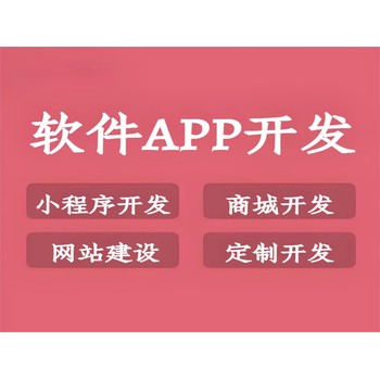 南昌提供软件APP开发小程序商城制作的公司