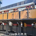 活性炭RCO催化燃燒裝置工業(yè)廢氣處理催化燃燒設(shè)備一體機(jī)