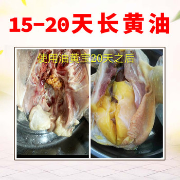 改善土雞油黃毛亮的辦法土雞油黃毛亮長(zhǎng)的很慢是為什么