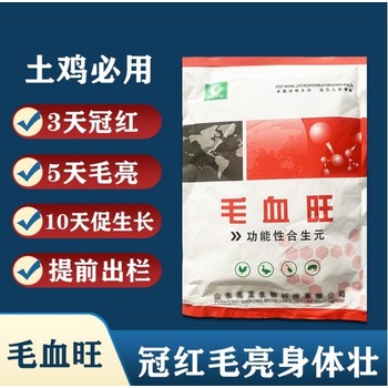 養什么品種的土雞更容易長冠頭怎么養雞更容易長冠頭