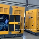 濰柴博杜安柴油機6M33D633E200配套星諾發(fā)電機625KVA靜音