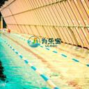江西鋼結(jié)構(gòu)拼裝游泳池價(jià)格、南昌恒溫泳池廠家施工哪家好？