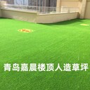 樓頂屋頂房頂人造草坪幼兒園人造草坪