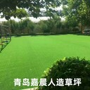 學(xué)校室外操場(chǎng)人造草坪，體育場(chǎng)室外室內(nèi)人造草坪