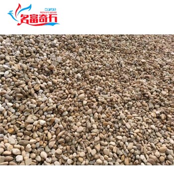 廣東梅州質優鵝卵石/鵝卵石一噸多錢/雜色鵝卵石原石