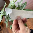 80克90克100克高耐破高強度耐折白牛皮紙