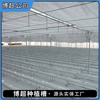 溫室支架式種植槽草莓種植槽系統(tǒng)