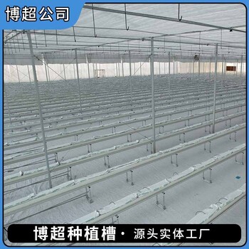 溫室鮮切花卉類栽培槽種植系統(tǒng)花卉育苗栽培槽種植系統(tǒng)