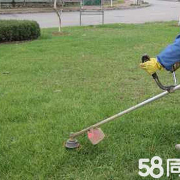 北京除草公司，除草，荒草清除公司。割草，打草