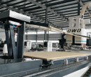 五轴加工德沃德DWD自动翻板开料一体机自动贴标一拖二连线六面钻图片