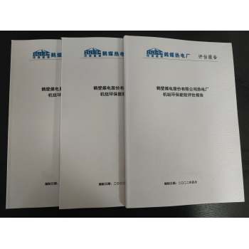 河南省做工厂能源审计报告