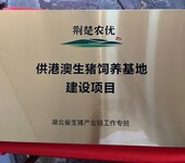 武漢銅字制作工廠，銅牌制作廠家，公司銅牌定制找鑫峰，自有工廠