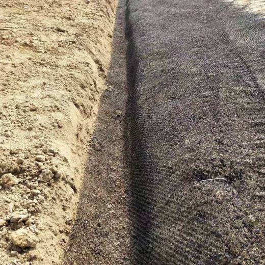 佳木斯郊区植草毯生态水土保护毯联系电话