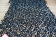 湘潭湘乡植草毯生态水土保护毯厂家