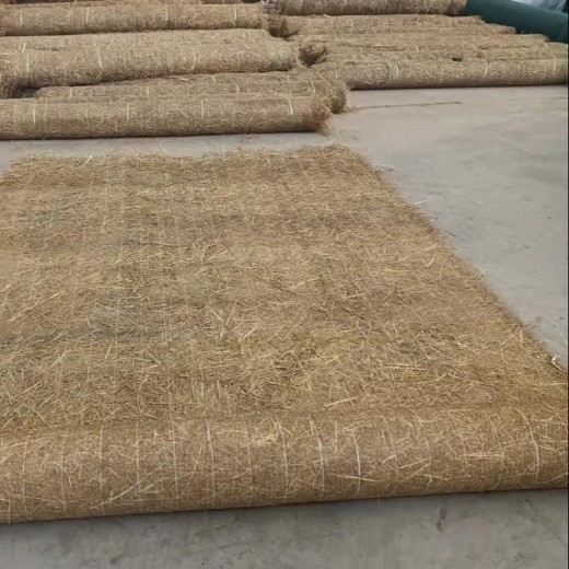 成都彭州生态草毯供应商