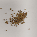 露水草提取物蛻皮甾酮