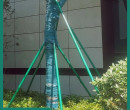 江苏大树支撑绿化镀锌管使用方法图片