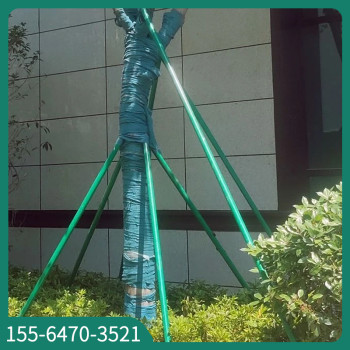 上海树木钢管支撑型号尺寸