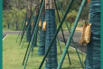 云南园林树木钢管支撑架产品图片