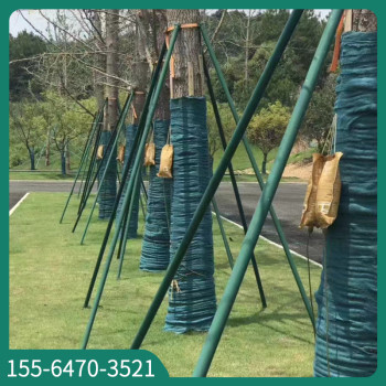 天津园林树木钢管支撑架批发供应
