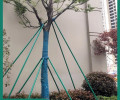 上海园林绿化树木防风支撑架规格报价