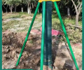 新疆树木防倒钢管支架批发供应