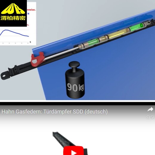 进口hahngasfedern空气弹簧HAHN带有活塞的活塞杆组成