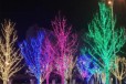 太原市政街道装饰灯树木亮化缠绕彩灯串现货