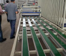 山东创新建材新型全自动玻镁板生产线图片