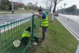 广州市政道路围栏公路护栏网绿化围栏网构筑安全畅通的交通新防线