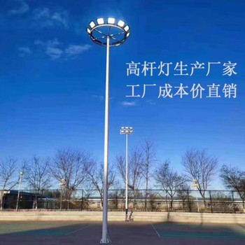 青海果洛民族特色太陽能路燈廠家.鄉(xiāng)村道路改造