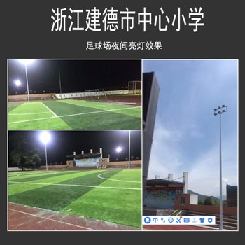 福建龙岩太阳能路灯安装厂家.学校改造