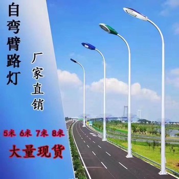 陆丰民族特色路灯厂家.农村改造