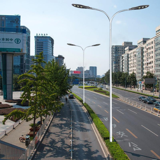 广安监控灯杆厂家.当地电话