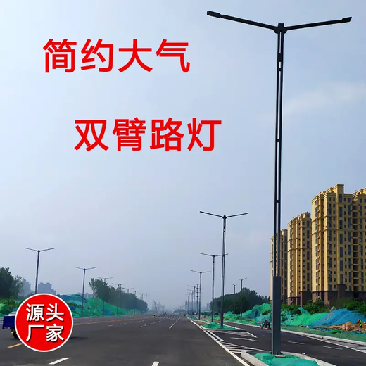 大同led玉兰灯厂家.格