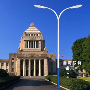 资阳智慧路灯厂家.乡村道路改造