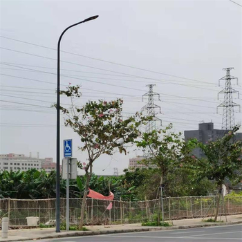 石家莊監(jiān)控燈桿廠家.學校改造