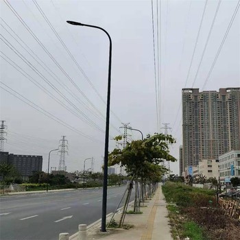 石家莊監(jiān)控燈桿廠家.學校改造